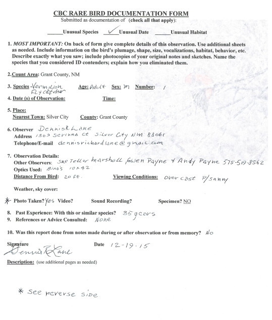 Vermilion Flycatcher